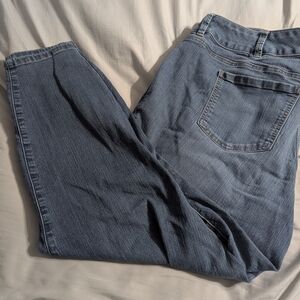 torrid Skinny Jeans in Light Blue Wash